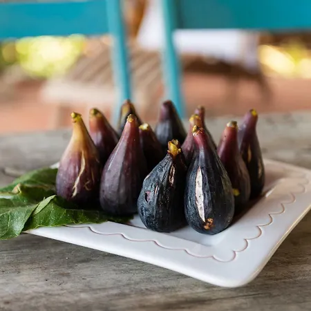 Chiarenza, Tuerredda Teulada