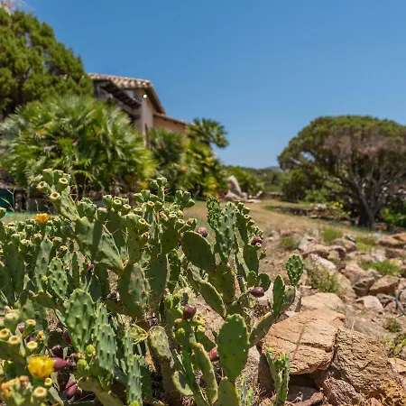 Chiarenza, Tuerredda *