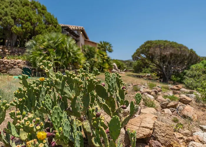 Chiarenza, Tuerredda *